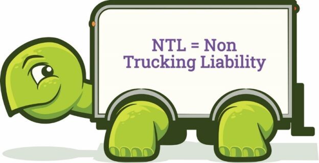 Trucker Turtle NTL